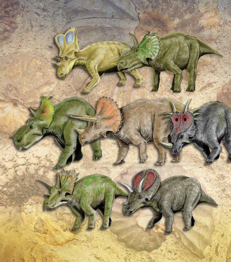 FAQ Image Dinosaurs On The Ark